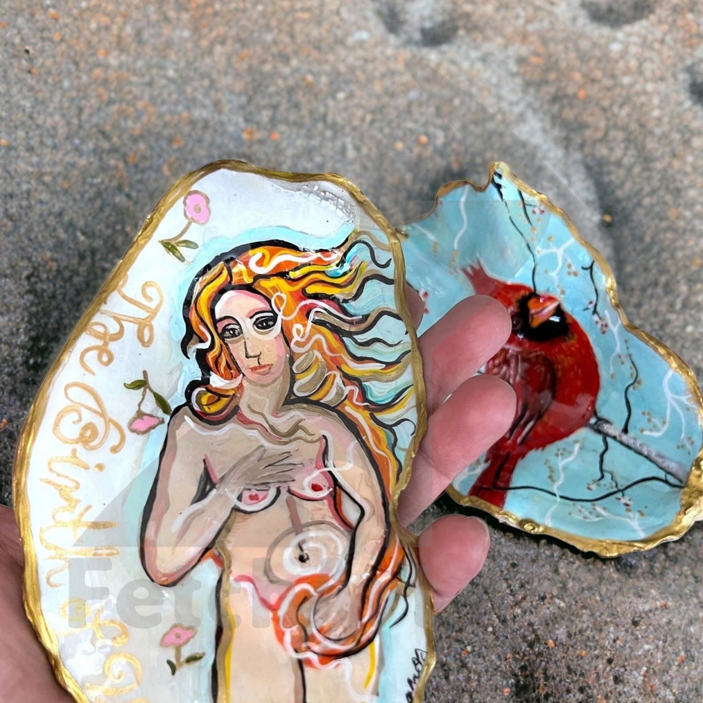 Large Seashell Paintings - Cardinal & Venus - Original Home Decor - Fetch Art